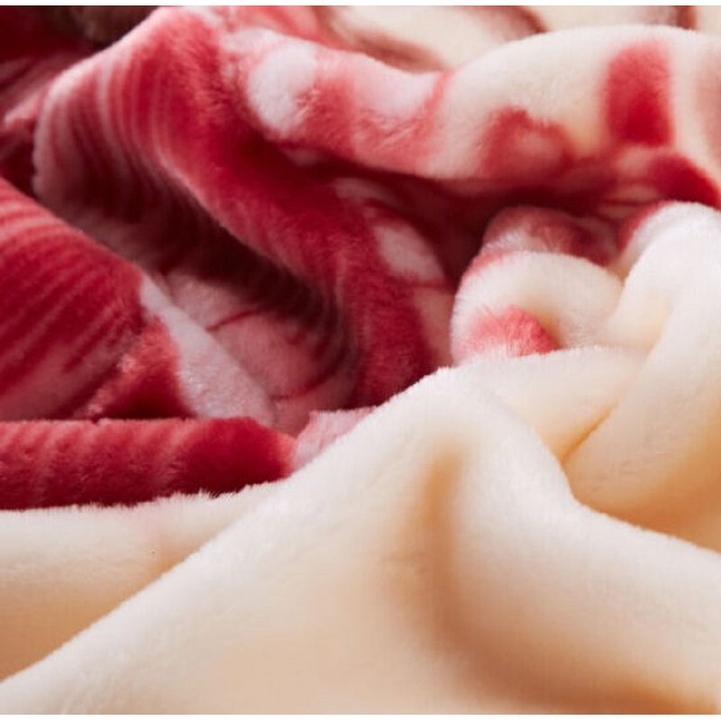 Red Barrel Studio® Drumaroan Heavy Korean Mink Blanket & Reviews Wayfair